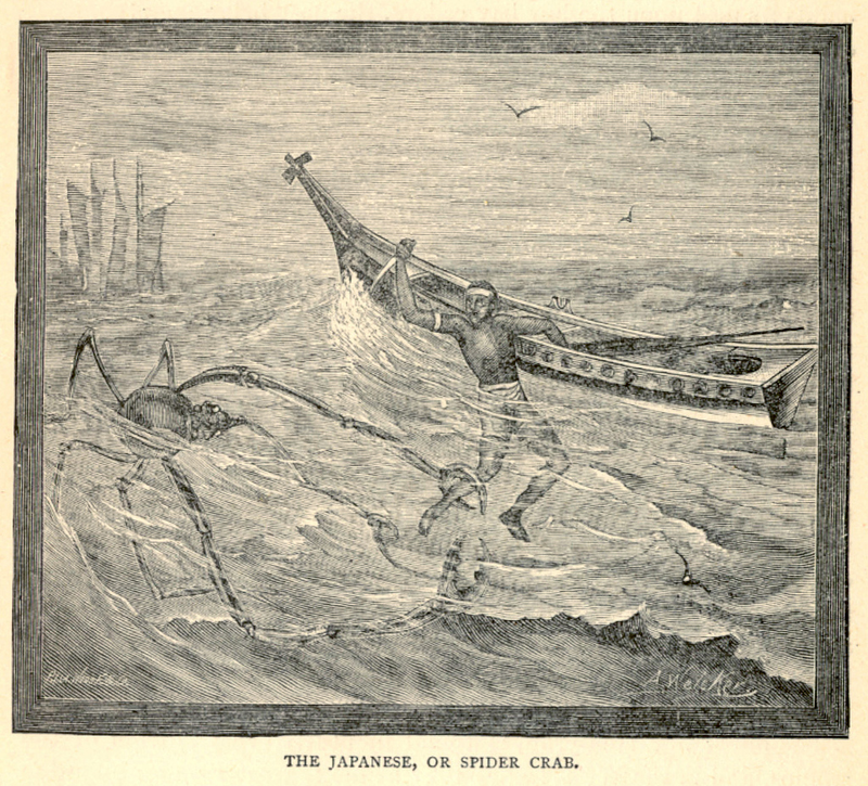 Illustration for article titled This gruesome 1889 biology book outlined the many ways animals will kill us